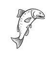 chinook salmon oncorhynchus tshawytscha king vector image
