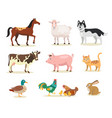 different cute farm animals flat set vector image