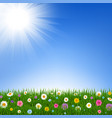 grass and flowers border and sky vector image vector image