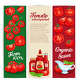 tomato sauce design set banners vector image vector image
