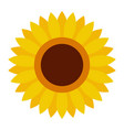 cute sunflower flower icon in a flat style vector image vector image