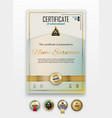 official certificate with gold design elements vector image