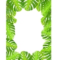 tropical leaf background vector image