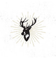 hand drawn deer s head label vintage black vector image vector image