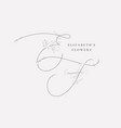 floristic feminine brand logo template vector image