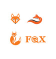 fox logo icon template vector image