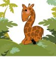 giraffe in the jungle vector image vector image
