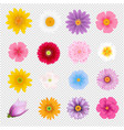 summer flowers set transparent background vector image vector image
