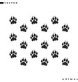 tiger paw prints silhouette vector image