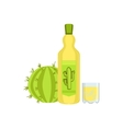 tequila mexican culture symbol vector image