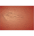 pattern background crocodile vector image vector image