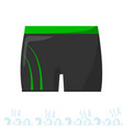 mens swimming trunks costume vacation vector image vector image