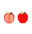 apple fruit with mesh technique vector image