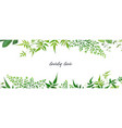 tropical forest greenery leaves branches jasmine vector image