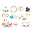 wedding and birthday set with swan lettering vector image