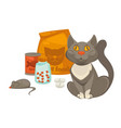 pet vet veterinary cat food and treatment pills vector image