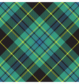 pride of ireland tartan kilt texture seamless vector image