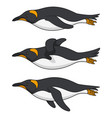set color images a swimming penguin vector image