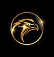 eagle head in golden circle logo vector image vector image
