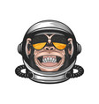 smiling chimpanzee ape with astronaut vector image