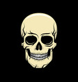 colorful cartoon realistic skull on a black vector image vector image