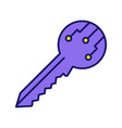 private digital key color icon vector image