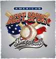 baseball americas sport vector image vector image