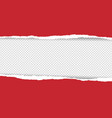 red torn paper vector image vector image