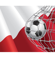 soccer goal and poland flag vector image vector image