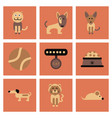 assembly flat icons pets and accessories vector image vector image