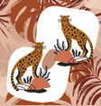 set of cute leopards standing on rocks in boho vector image vector image