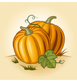 retro pumpkins vector image