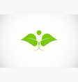 beauty green leaf organic logo vector image