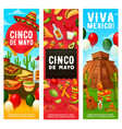 mexican fiesta symbols cinco de mayo holiday vector image vector image