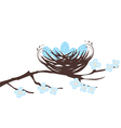 birds eggs blue vector image