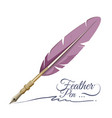 feather pen writing implement made from feathers vector image