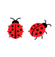 lady bug cartoon flat icon ladybug simple small vector image