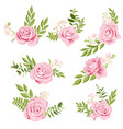 drawing flowers set vector image