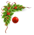 christmas holly with berries vector image