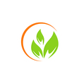 leaf vegetarian abstract green logo vector image