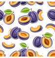 plum seamless pattern vector image vector image