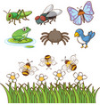 large set different types insects on white vector image vector image
