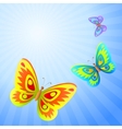 butterflies in the sky vector image