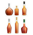 alcohol bottles liquids products transparent vector image