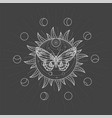 butterfly and sacred symbol vector image