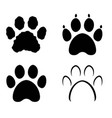 collection of bear tiger dog and cat paw vector image