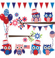 4th of july owl with branch collection vector image