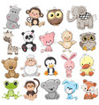 set cute animals vector image