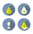 whole and cut pears flat icon vector image vector image