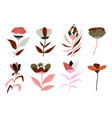 flowers in blossom flourishing plants and flora vector image vector image